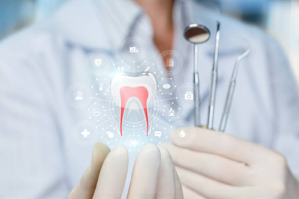 Professional  Holistic Dental Services in Bellport, NY